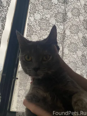 Ребят, всем привет, произошла ...