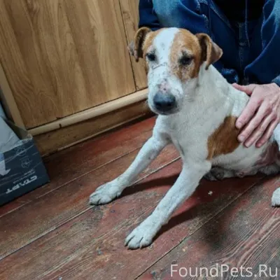 Спасибо. Можно выставить эти ф...