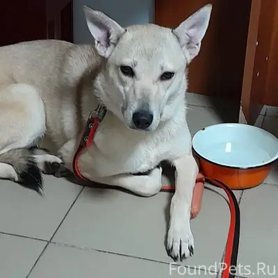 ЛО, Гатчинский р-н, Верево vk....