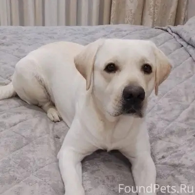 Ребята, пожалуйста помогите на...