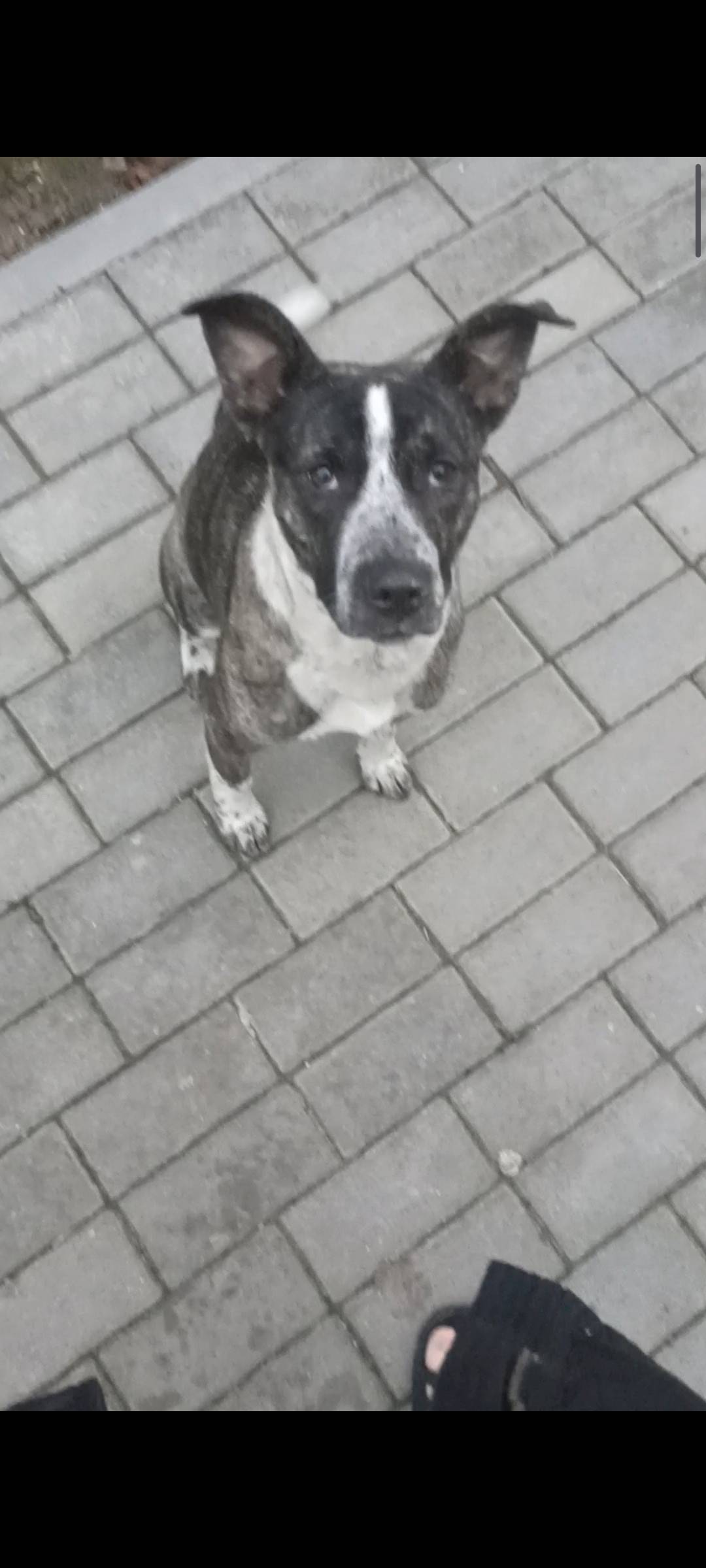 ❗🚨❗🚨❗🚨❗🚨❗🚨❗🚨❗🚨❗🐕 СРОЧНО! НАШЛА...