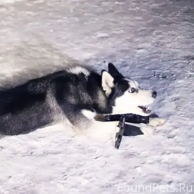 Срочно!!! Только что убежала с...