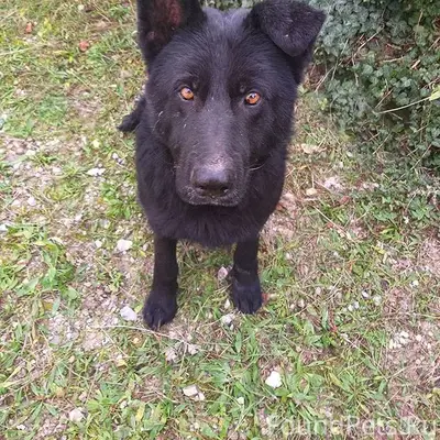 SOS!!! Новороссийцы, земляки! ...