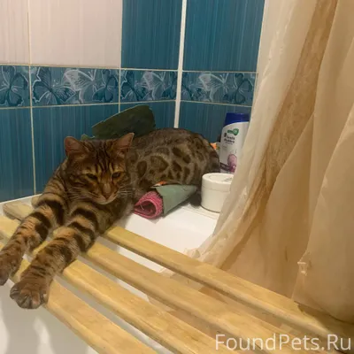 Добрый день! 19.12.2025 в...