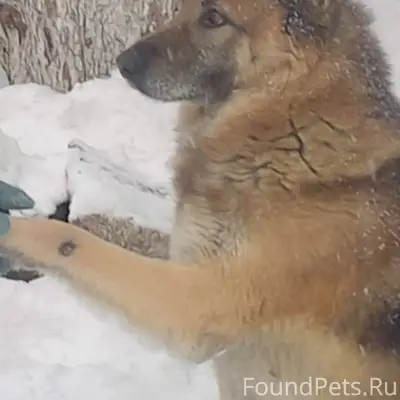 #Бгдпомоги #Богданович Всем до...