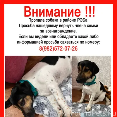 Не теряю надежды найти своего ...