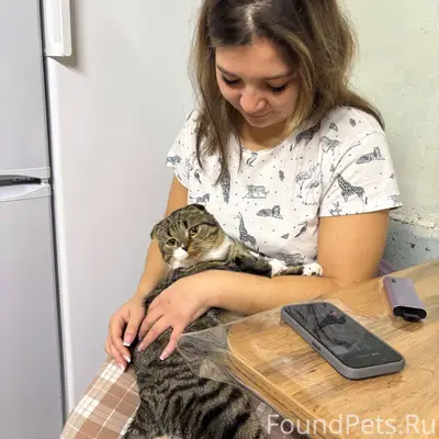 Доброго времени суток!!С частн...