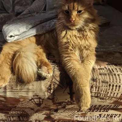 От населения. Просьба, если кт...