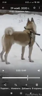 Осинники, район Фриц горы, пот...