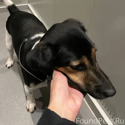 Не теряю надежды найти своего ...