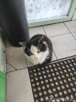 Помогаю информационно: Улица К...