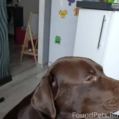 Здравствуйте может кто видел в...