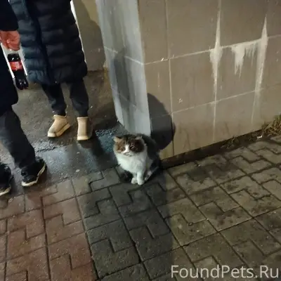 Орехово-Зуево ‼️На вокзале най...