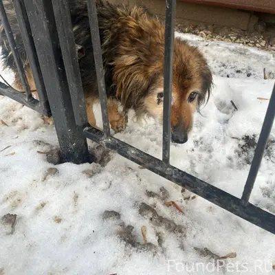 ‼️‼️‼️ Друзья, вчера встретила...