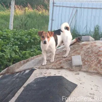 ПОМОГИТЕ НАЙТИ 🙏 🆘️Новая жизнь...