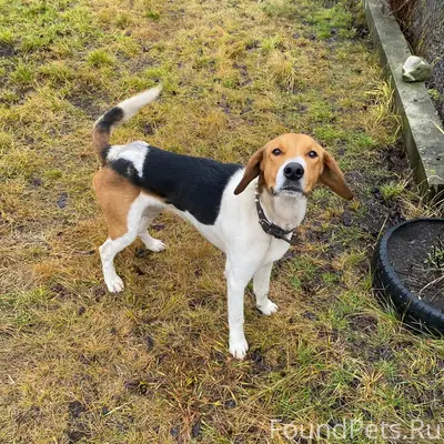 Репост, пожалуйста 🙂 🙏 Круг до...