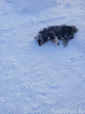 Новая Ляля!!!! На улице 9 Янва...