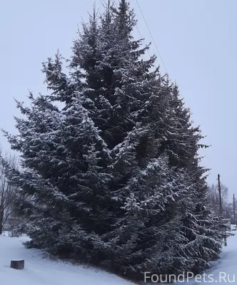 Сегодня на нашей прогулке попо...