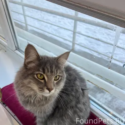 🆘Орск! 🆘 Помогите распространи...