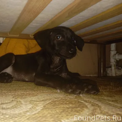 СРОЧНО!!!! ПРОСТО НАСТОЯЩИЙ 🆘️...