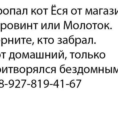 Пропал кот! Верните, кто забра...