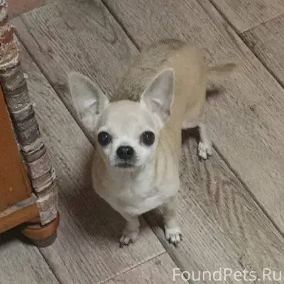 Выложите, пожалуйста Пропала с...