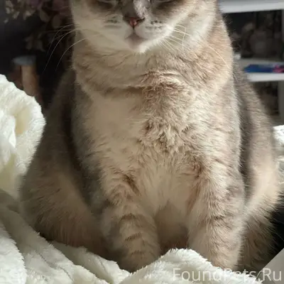 Всем добрый день, потерялась к...