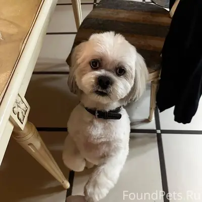 20 декабря, в 21-21.30...