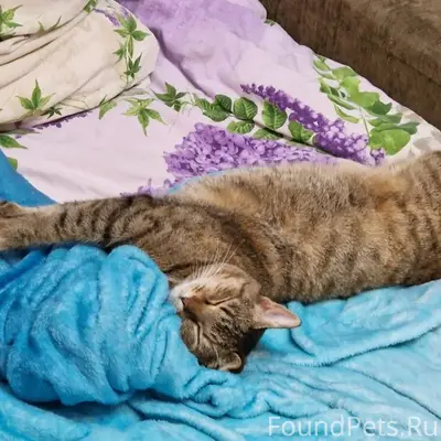 Уважаемые друзья, нужна ваша п...