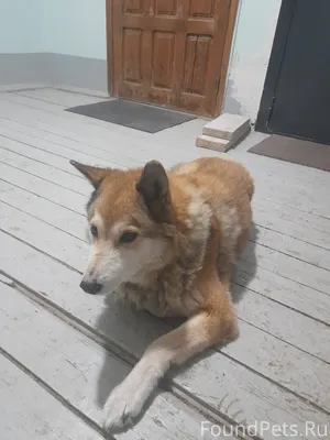 Всем добрый вечер кто то потер...