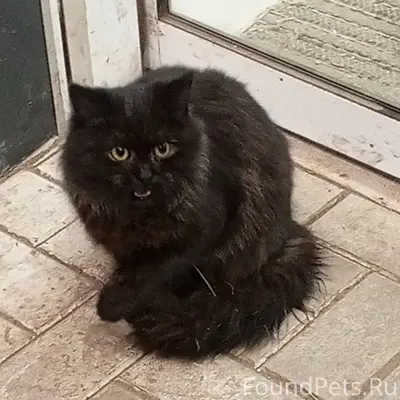 НАЙДЕНА НА ПЕРЕКОПЕ У МАГНИТА!...