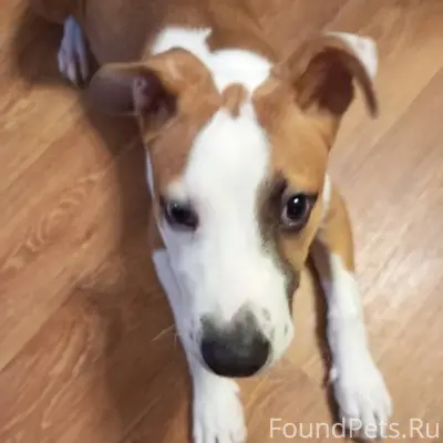 Добрый вечер. Наверно многие и...