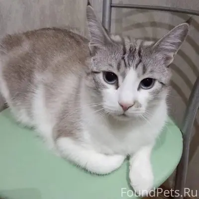 Город Серпухов, улица централь...