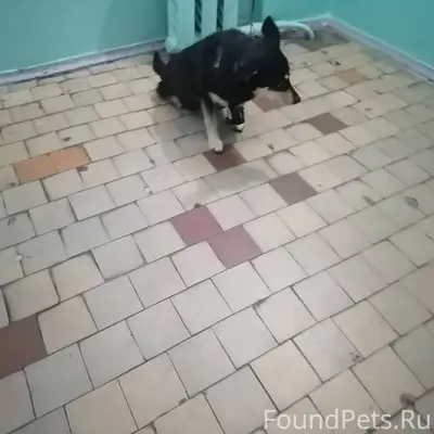 🆘 18 декабря у магазина Монетк...