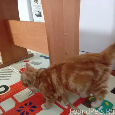 20 декабря 2025 в районе танко...