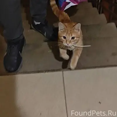 В подъезде Запрудой 14 корп. 4...