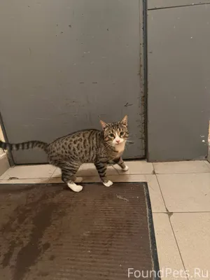 ‼ХОЗЯИН, НАЙДИСЬ ‼️ ‼️Здравств...