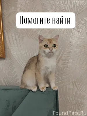 Михайловск, ул. Терешковой Про...