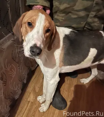 (Помогаю информационно) Дзержи...