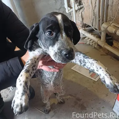 В районе жиркомбината возле кб...