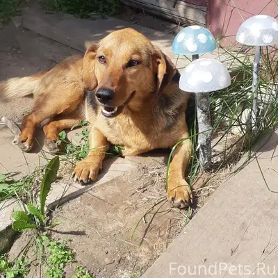 Вчера 21.12.2025 года в...