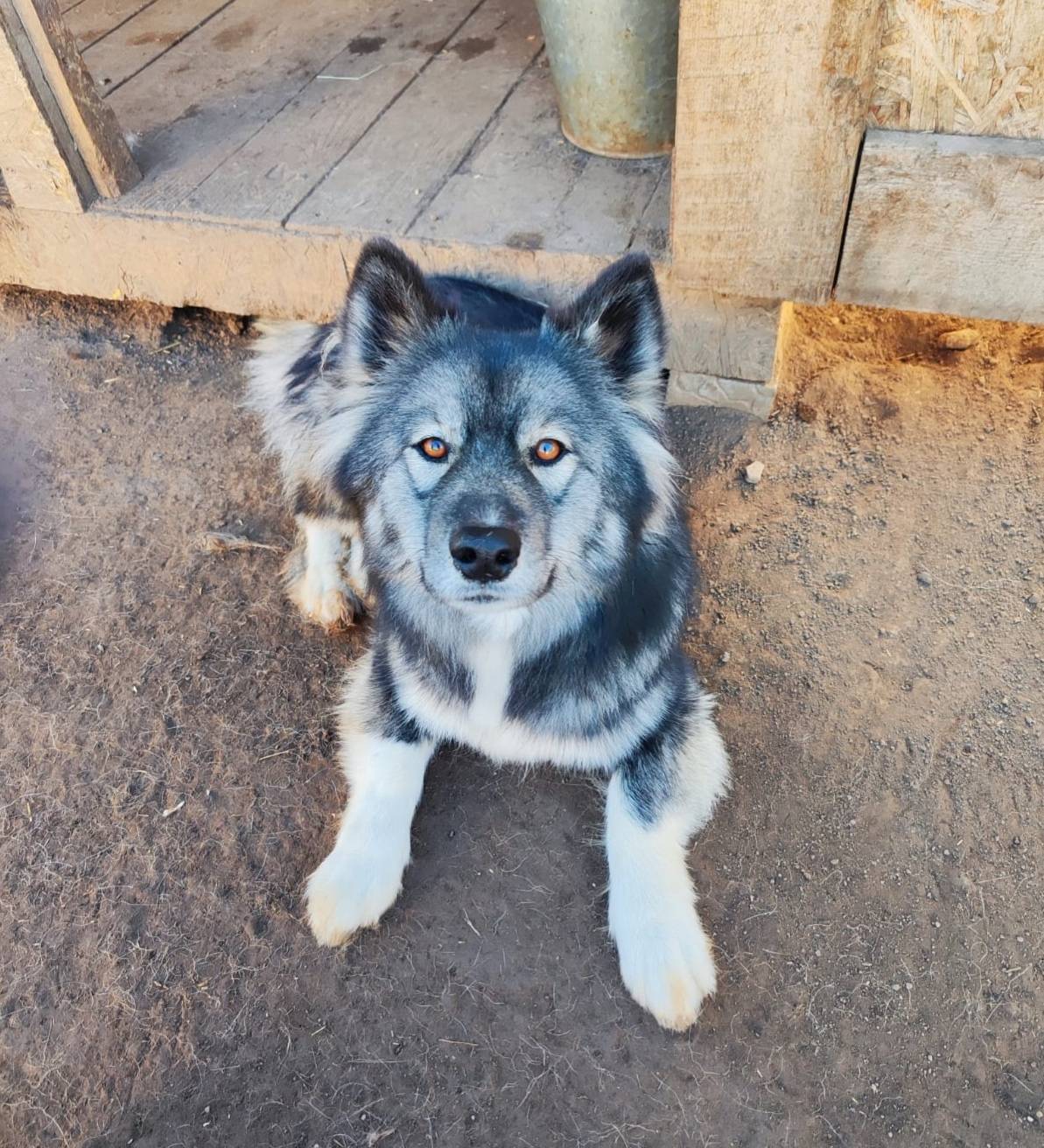 Здравствуйте. Опубликуйте, пож...