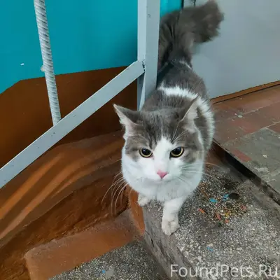 Здравствуйте, на 7 микрорайоне...