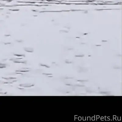 Орехово-Зуево, Карболит. 🆘🆘🆘Же...