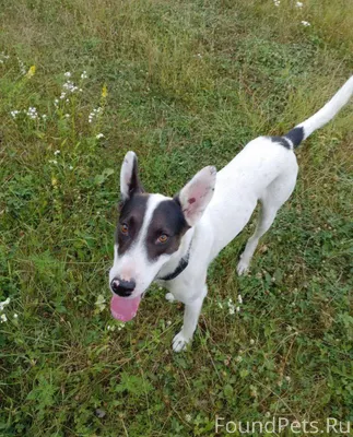 🗣️ Жители Апшеронска и района!...