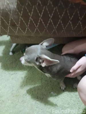 Сегодня в районе 28 шахты СНТ....