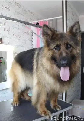 🆘Друзья, очень нужна помощь! П...