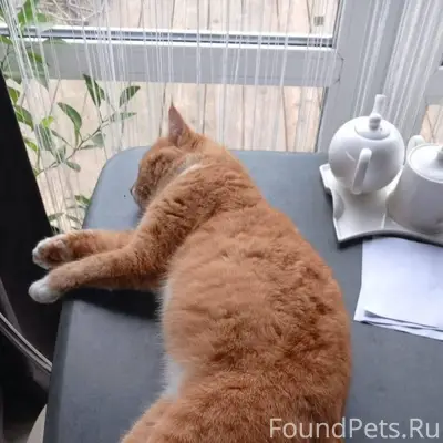 ПОТЕРЯЛСЯ В Деревней Таширово ...