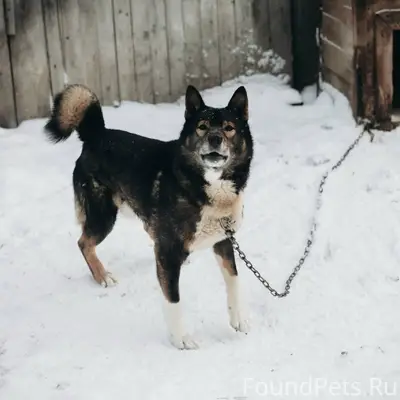 Всем доброго времени суток! Уб...
