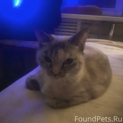 Доброго времени суток!!! Помог...